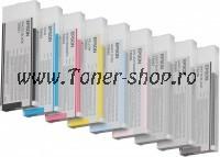 Epson Cartuse   Stylus PRO 4800