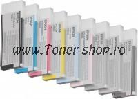 Epson Cartuse   Stylus PRO 4800