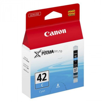Canon Cartuse   Pixma PRO 100