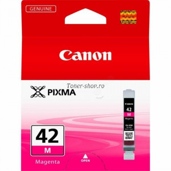 Canon Cartuse   Pixma PRO 100