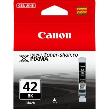 Canon Cartuse   Pixma PRO 100