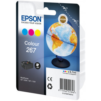  Epson Cartus cerneala  C13T26704010 