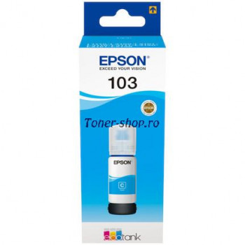  Epson Cartuse cerneala  C13T00S24A 