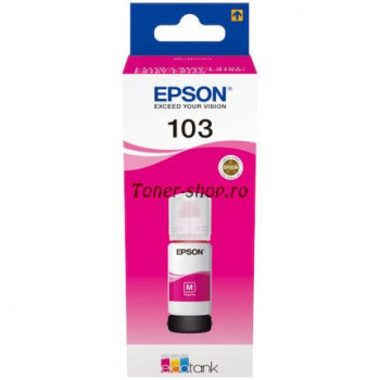  Epson Cartuse cerneala  C13T00S34A 